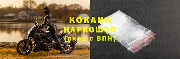экстази Богданович