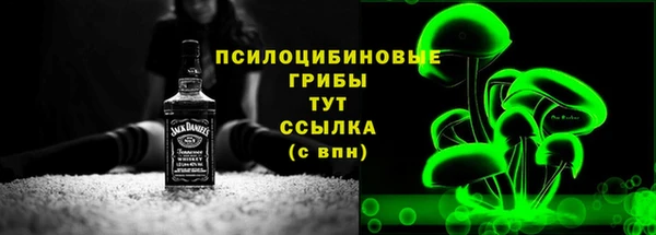 МДПВ Богородицк