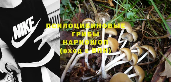 MDMA Богородск