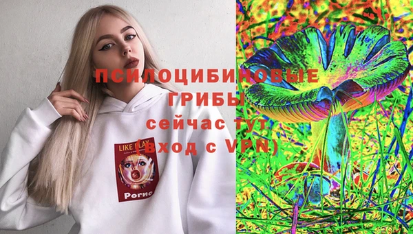 МДПВ Богородицк