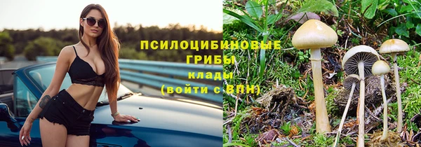 MDMA Богородск