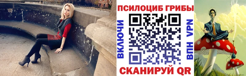 где купить наркоту  Юрюзань  Псилоцибиновые грибы Psilocybe 